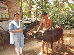 Photo of FMD-CP CONTROL PROGRAMME